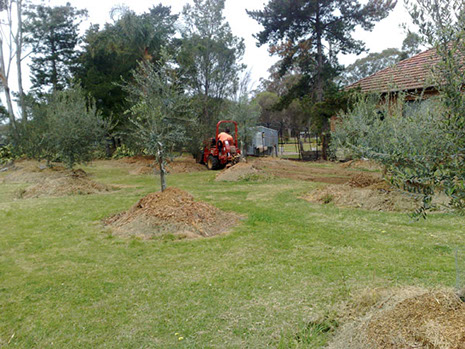 Agricultural Irrigation image 3