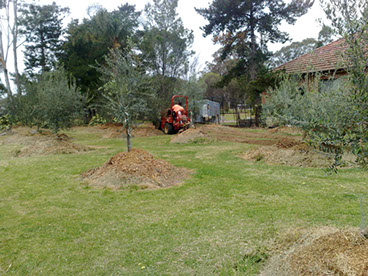 Agricultural Irrigation image 3