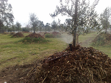 Agricultural Irrigation image 5